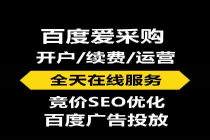 初学者的百度竞价推广：成功案例揭秘